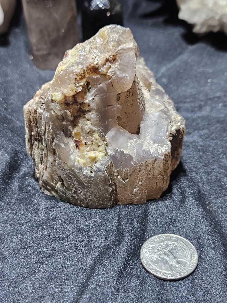 Pink Limb Cast w/ Opal & Dendric Specimen (15oz)