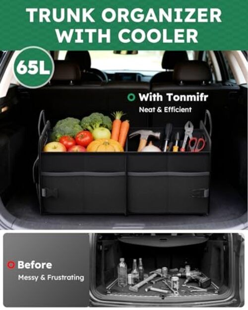 2-Compartment Trunk Organizer & Multi-Compartment Storage 65L (Organizer Only)
