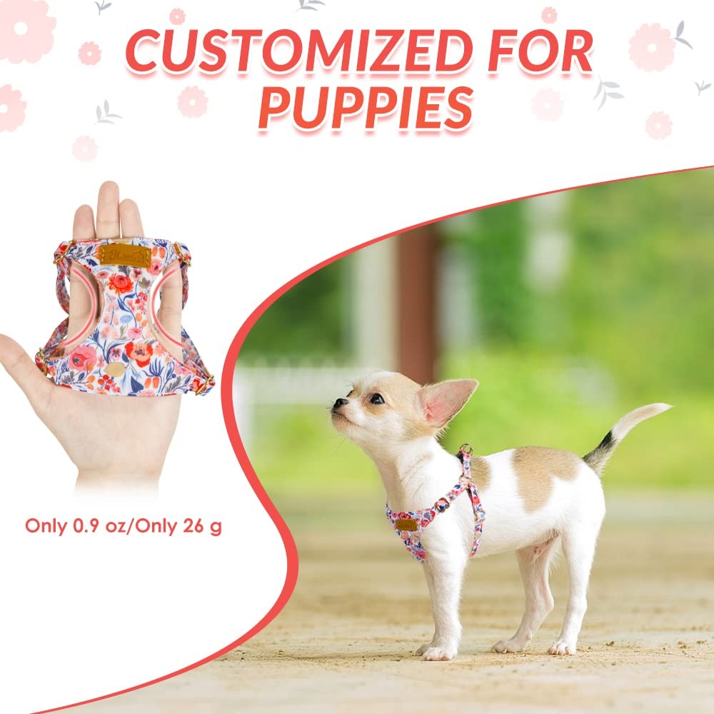 No Pull Dog Harness with Leash - Soft Lightweight Floral Pattern Puppy Harnes...