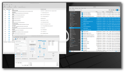 Linux Mint 21.3 "Virginia" Cinnamon Edition DVD