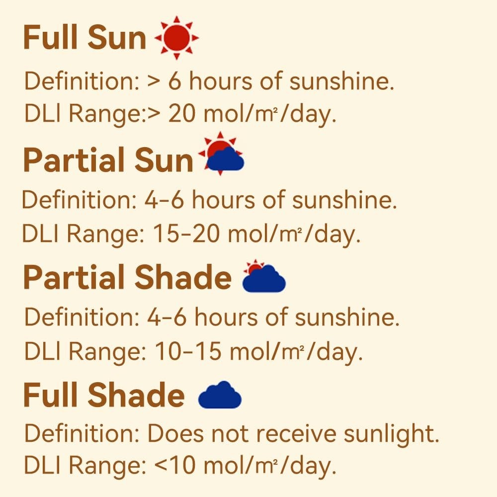 Garden Sunlight Meter with Instant Display - Identifies Light Categories Quickly