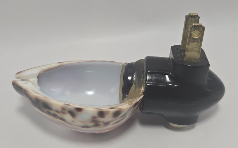 Vintage Etched Cowrie Shell Nightlight Pelicans
