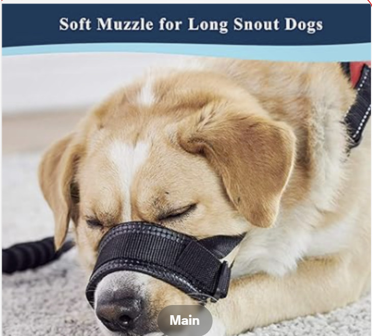 BARKLESS Dog Muzzle, Soft Nylon for Dogs, Allows Panting Easting Drinking