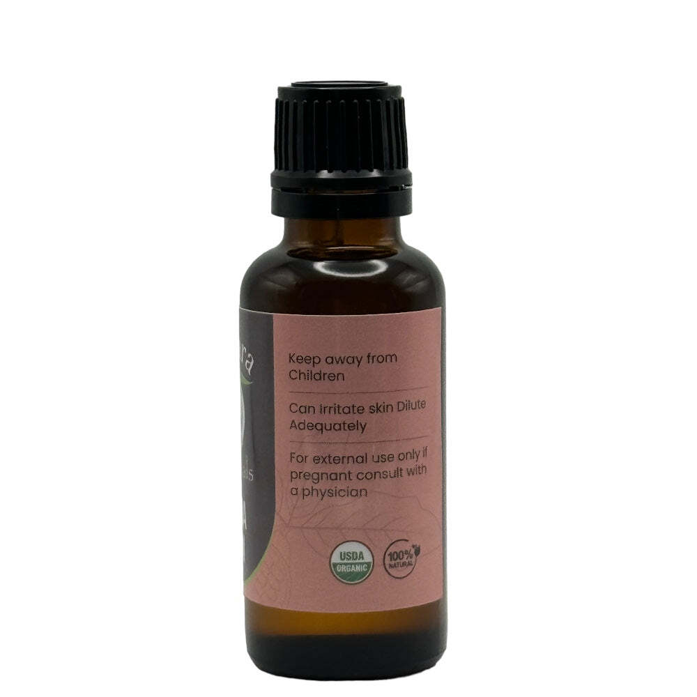 Cocoa Bean Essential Oil (Chocolate)