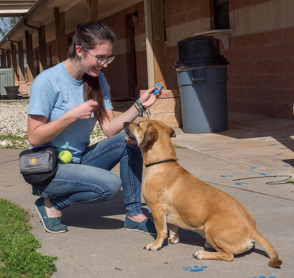 Pro-Training Clicker for Dogs