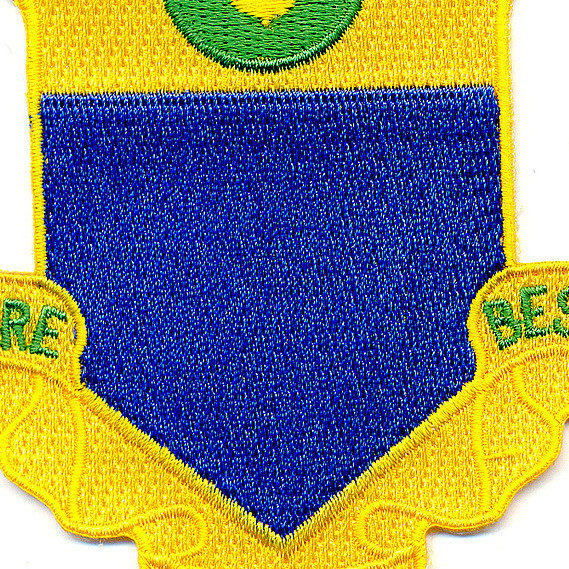 347th Infantry Regiment Patch