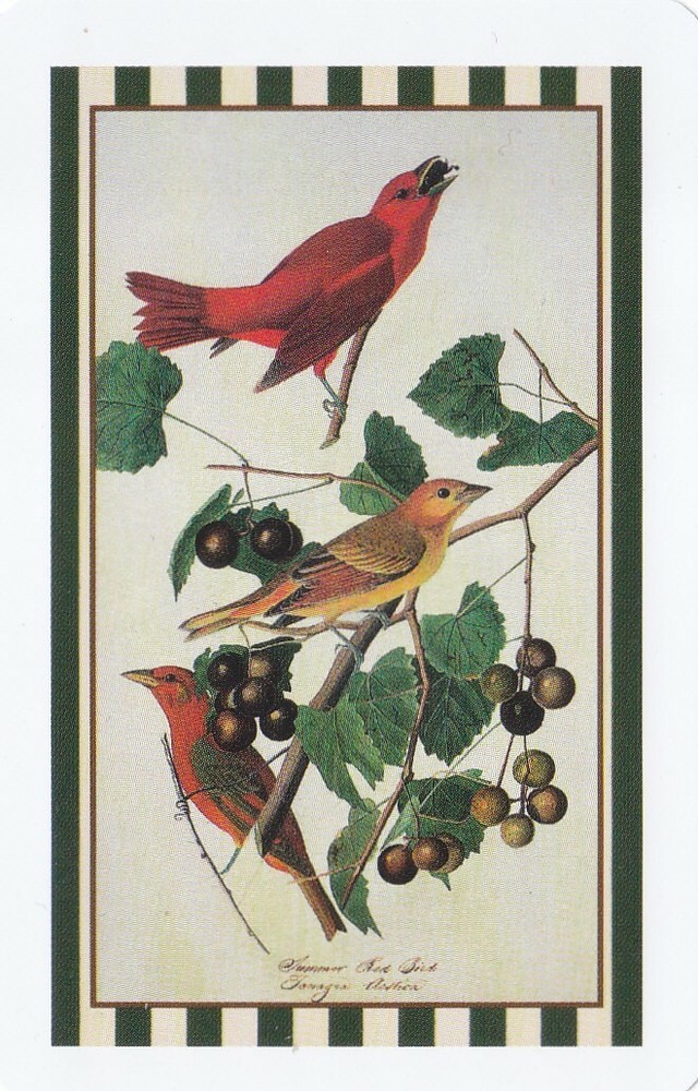 Birds & Berries, Single  Swap Card