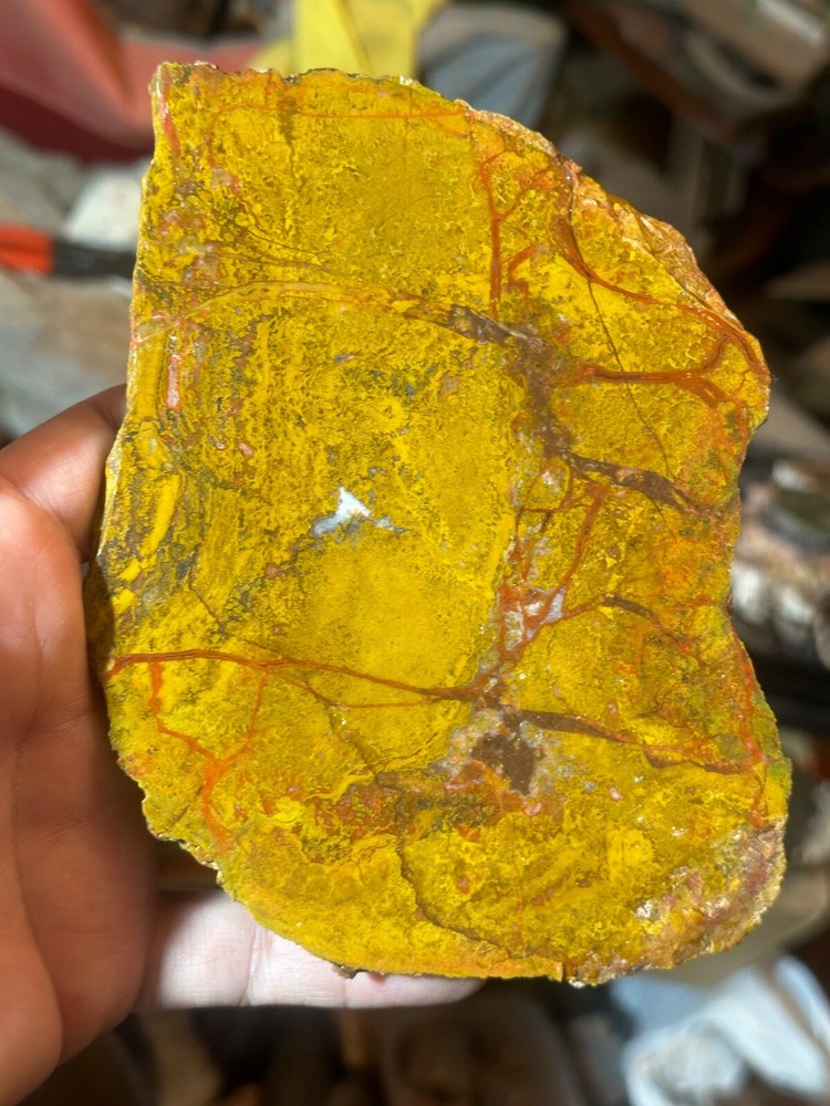 Beautiful Utah Yellowcat **hxtled agate.