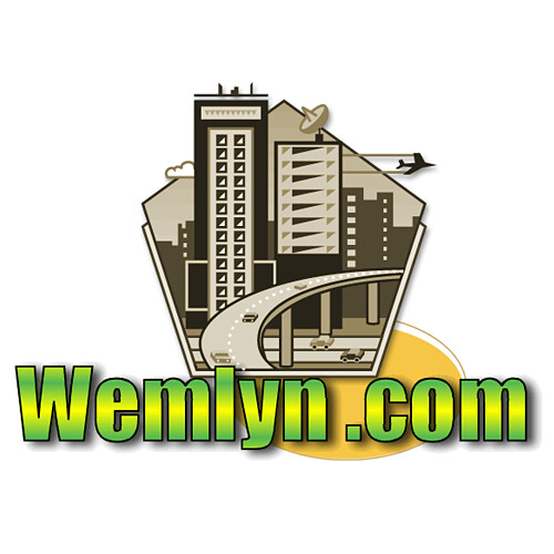 Brandable Domain Name - WEMLYN.com - 6L 6-Letter - GoDaddy