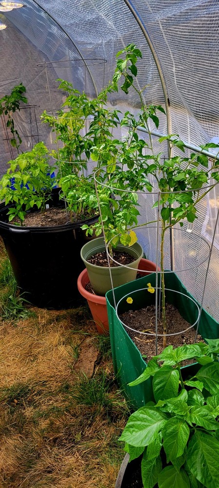 From Seed to Harvest.