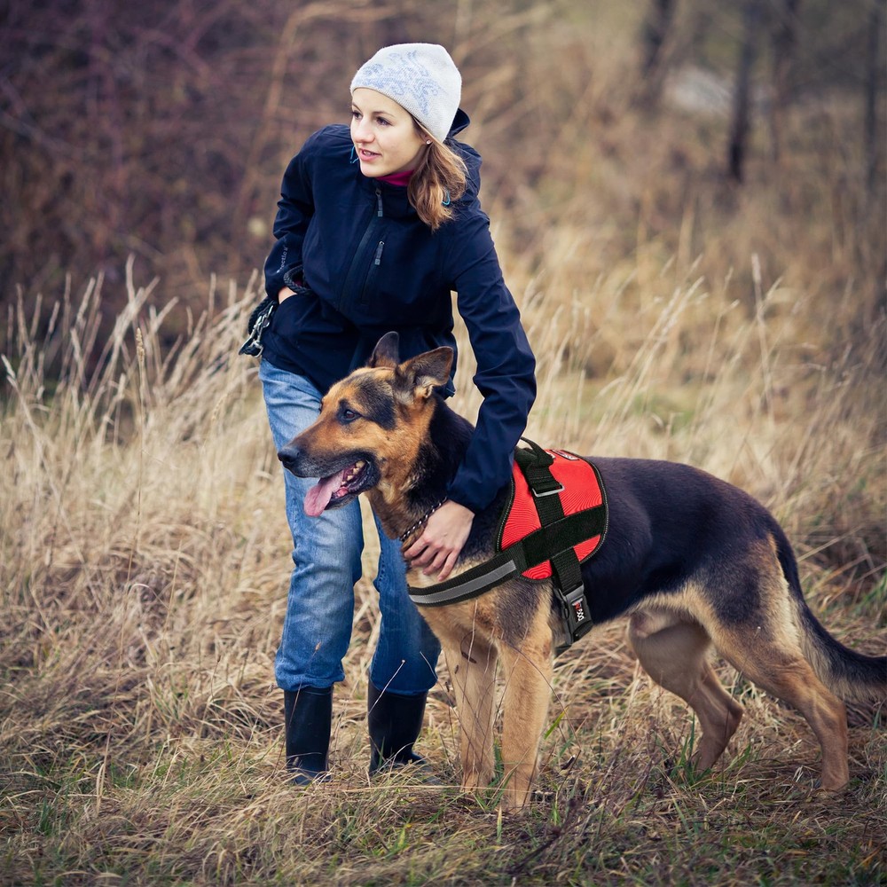 Red Reflective No-Pull Adjustable Dog Harness with Handle Girth 27-34 in