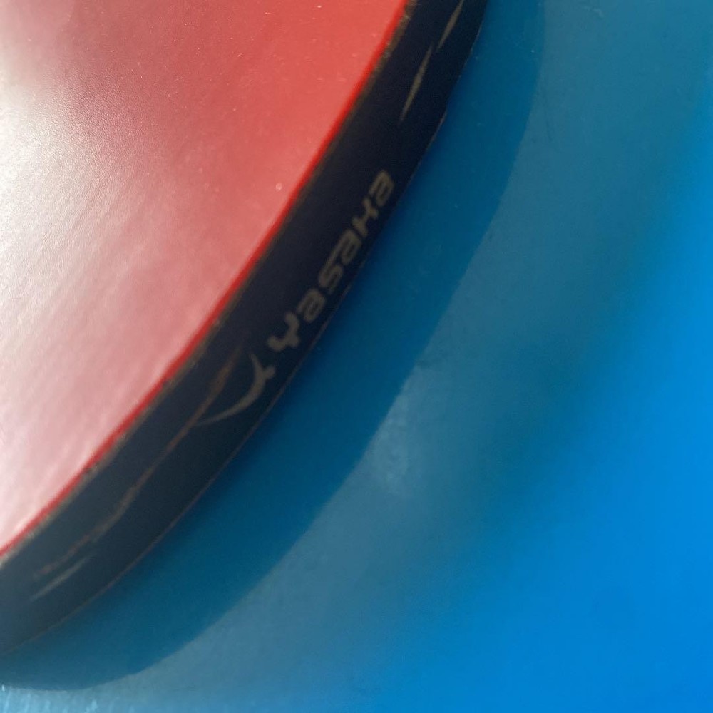 Table Racket Nittaku Leaves