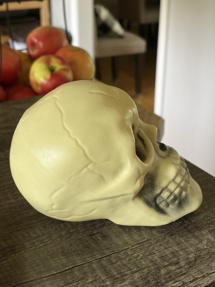 Plastic Skull Halloween Decoration Prop Hamlet Prop