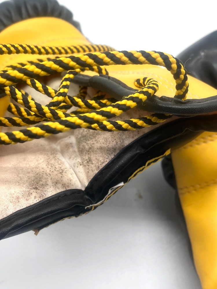 WINDY Boxing Gloves 4 oz Pair