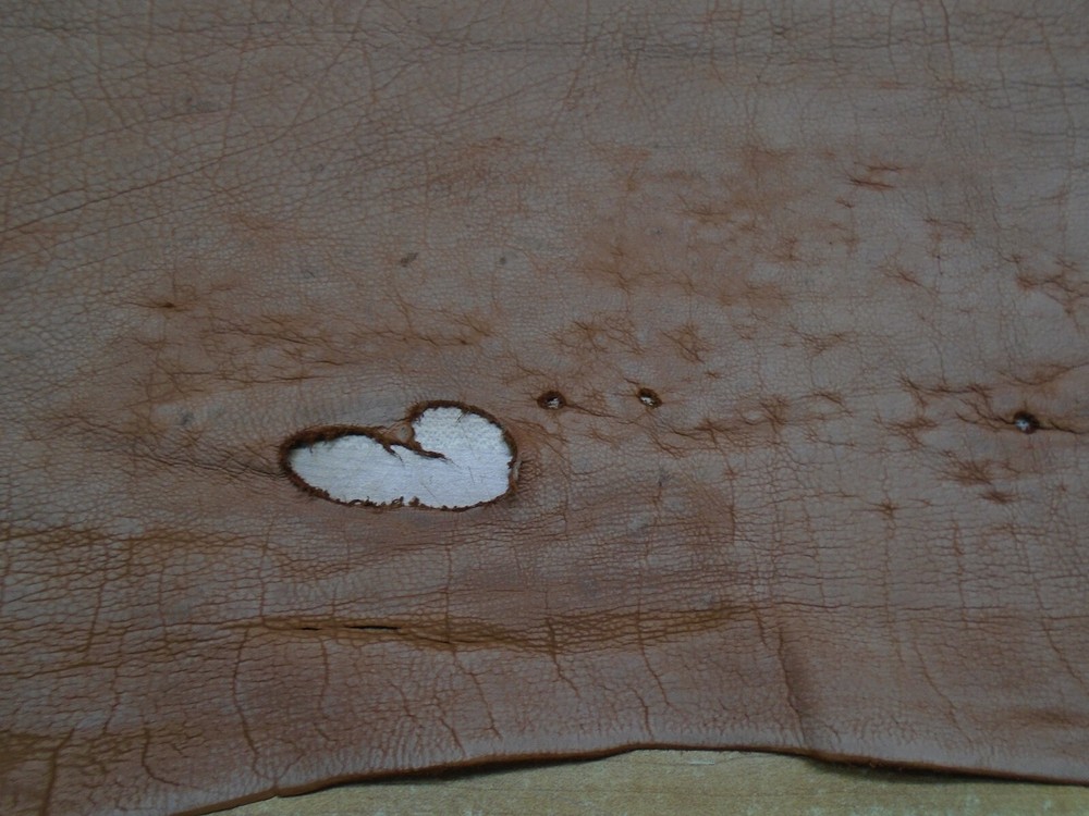 Top Grain Buffalo Leather #0007976 Row 62