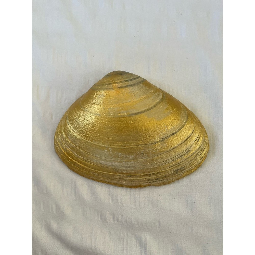 Seashell Ring dish/trinket holder OOAK Handmade