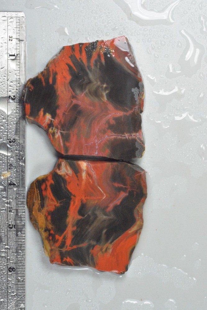 Petrified Wood, Circle Cliffs, Utah, 135 grams