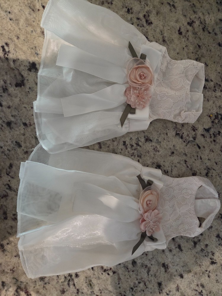 2 Cat Wedding Dresses