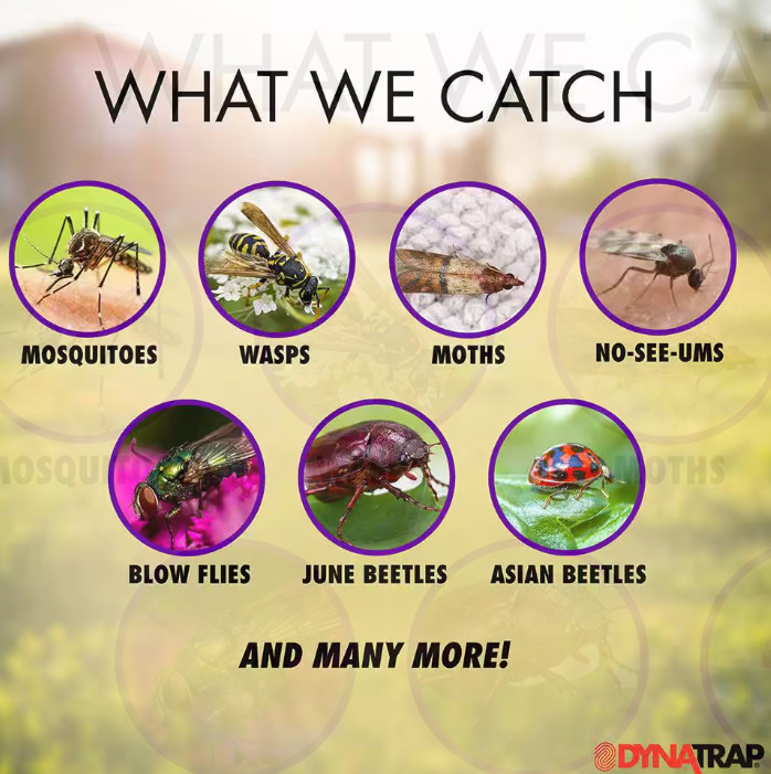 DynaTrap 3 Insect Trap 1/2 Acre Coverage with Wall Mount Indoor Outdoor Bugs