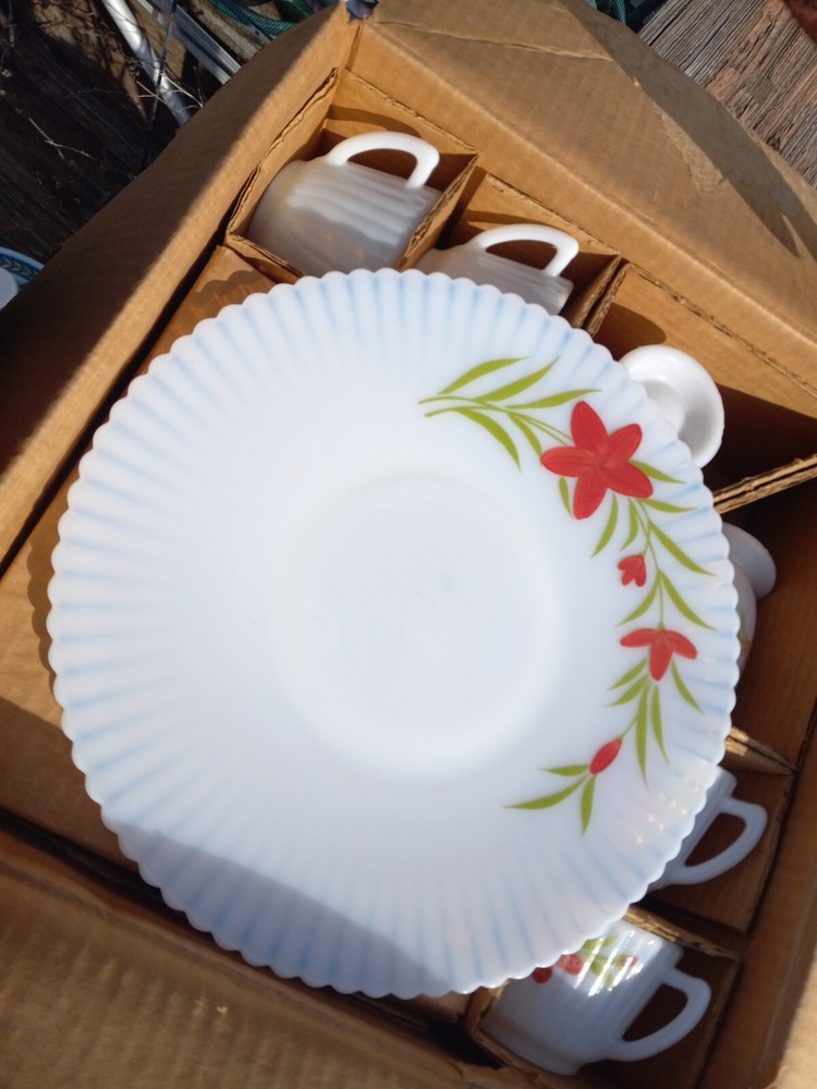 MacBeth-Evans ~ Monax Petalware ~ 15 Piece Set ~ Florette Dinnerware New In Box