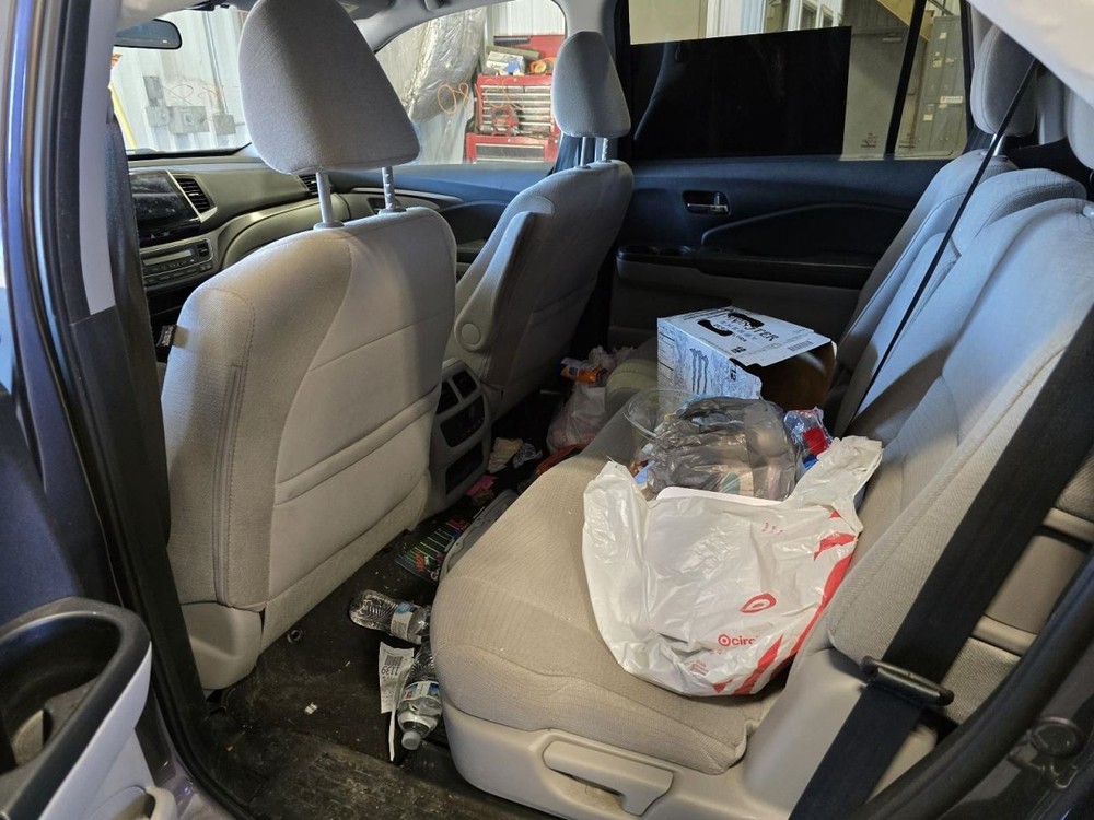 PILOT 2017 Jack 1552265