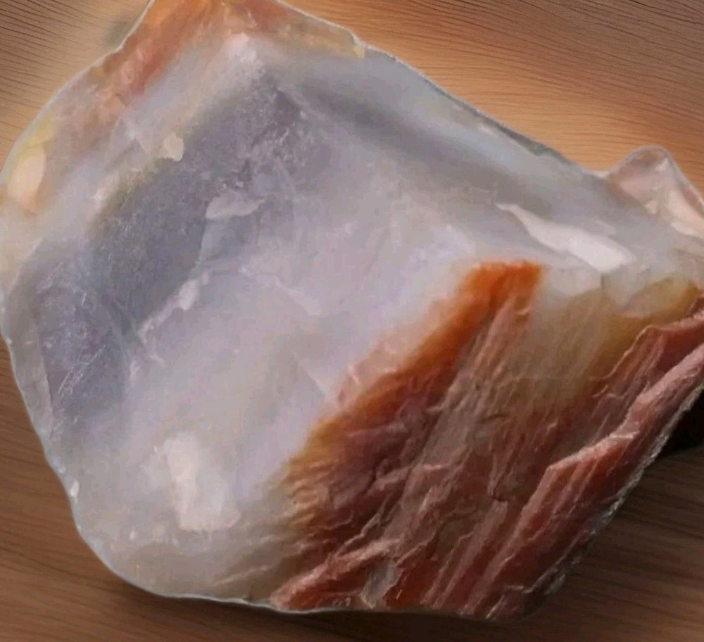 Petrified Agatized Rainbow Wood Rough 4 oz