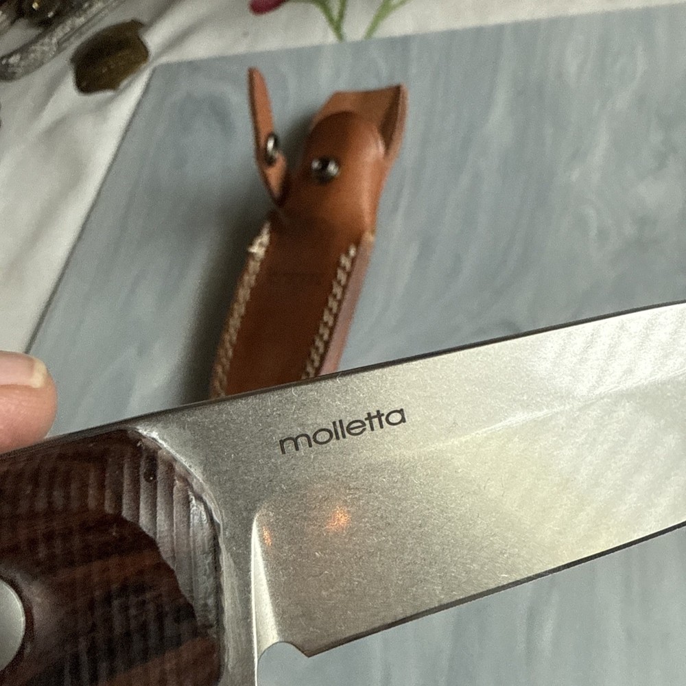Lion Steel Molletta Fixed Blade /leather Sheath