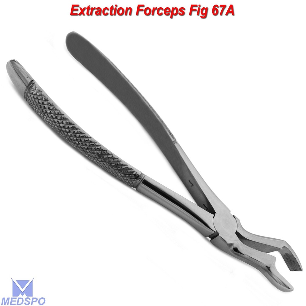 Surgical Extracting Forceps Upper Wisdom Forceps Fig-67 Dental Tooth Extraction