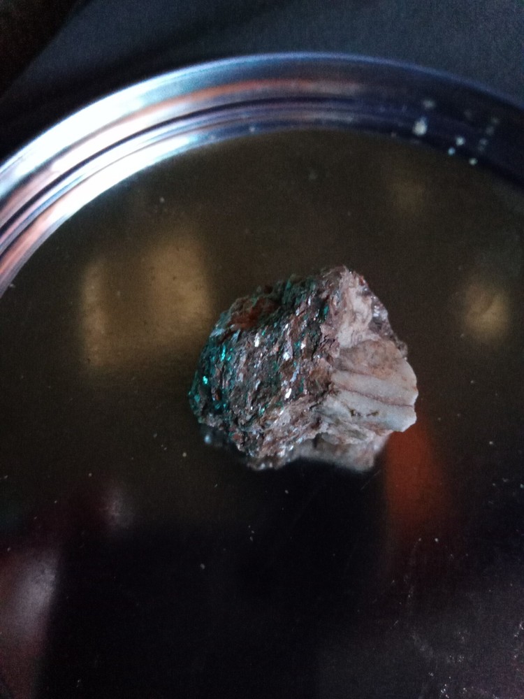 qurter size rock with platinum or gold