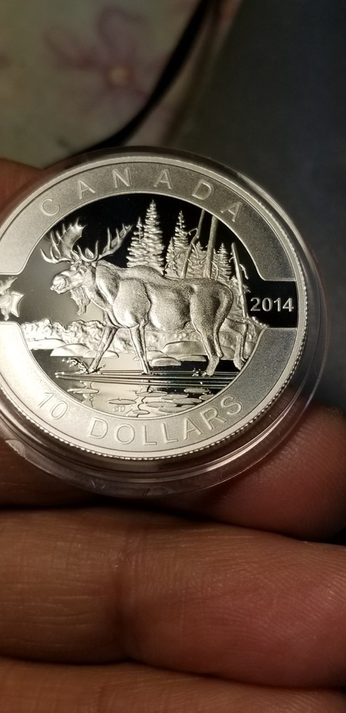 O Canada 2014 Proof Gem $10 Silver Coin Moose.