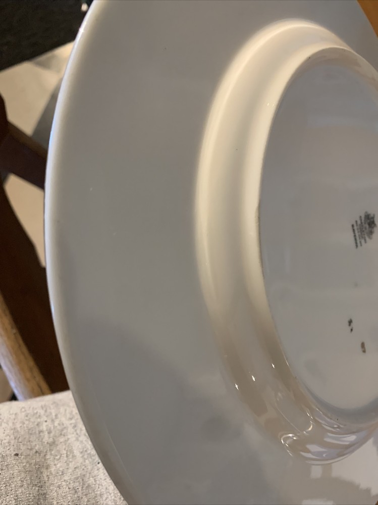 Castleton China Ravenna Oval Platter 15.5"
