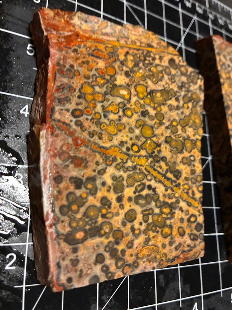 OLD CLASSIC LEOPARD JASPER SLABS (TWO) @ 500 Grams GOOD STUFF