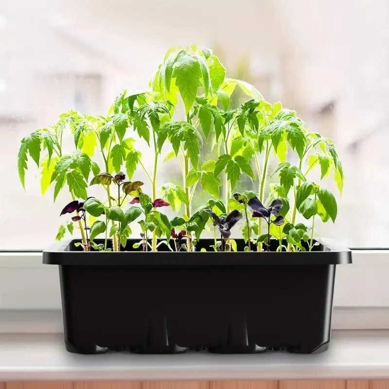 2 Pack Seed Starter Trays with Grow Light Seed Starter Kit Seed Growing Starting