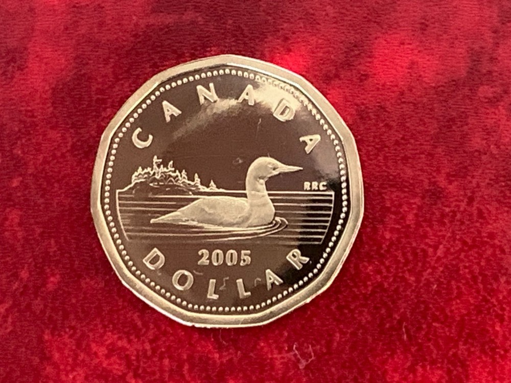 Canada 1 Dollar 2005 Proof Coin-Uncirculated