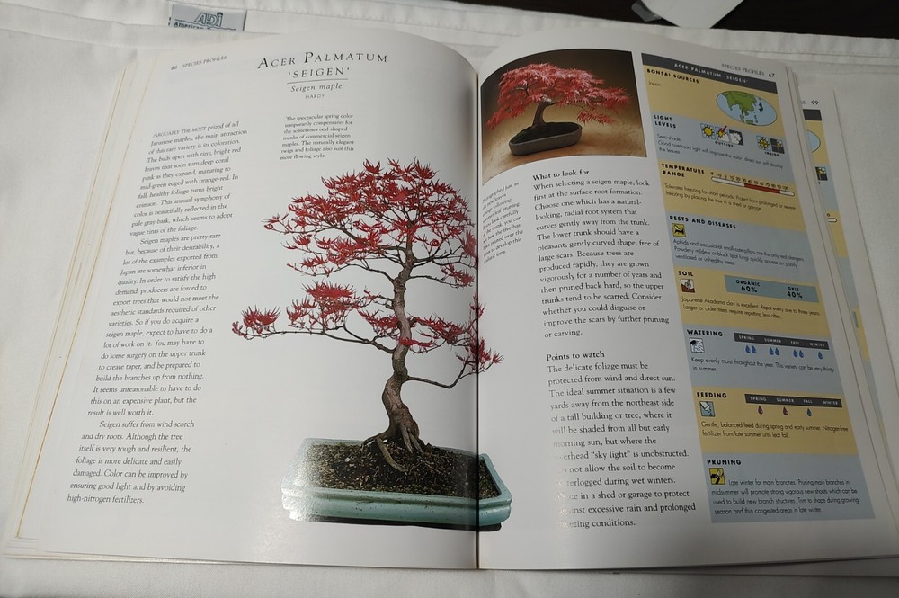BONSAI SURVIVAL GUIDE by Colin Lewis