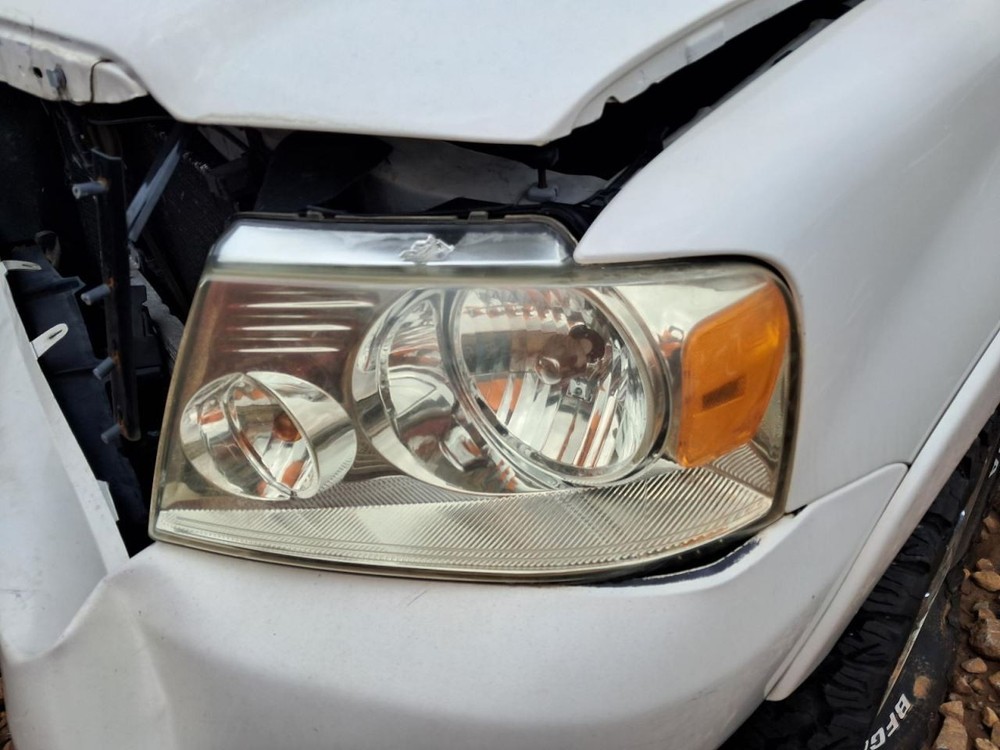 F150 2008 Glove Box 4805712