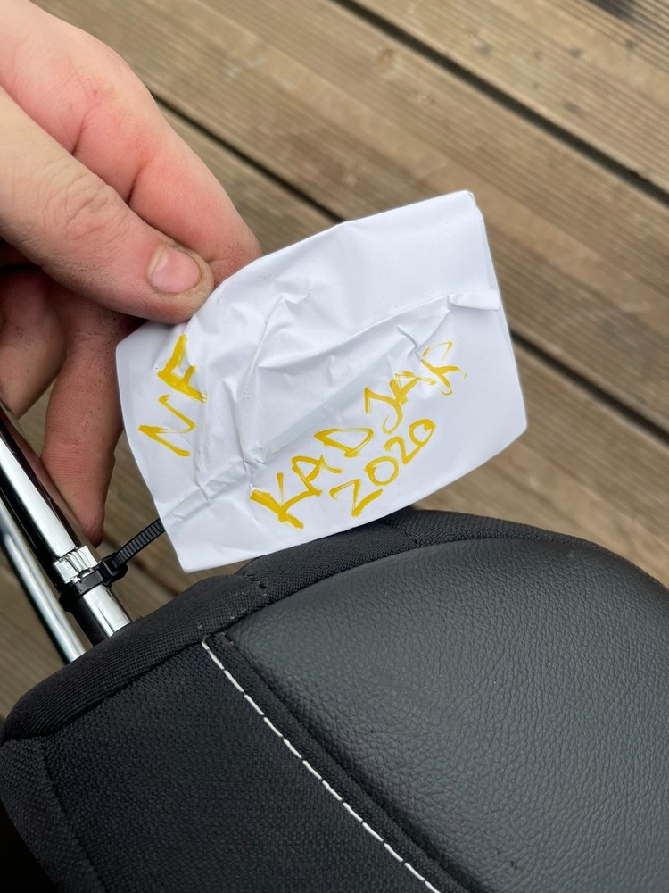 Renault Kadjar 2020 - Near Side Front Head Rest