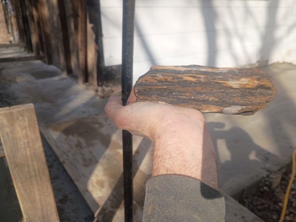 Petrafied Wood