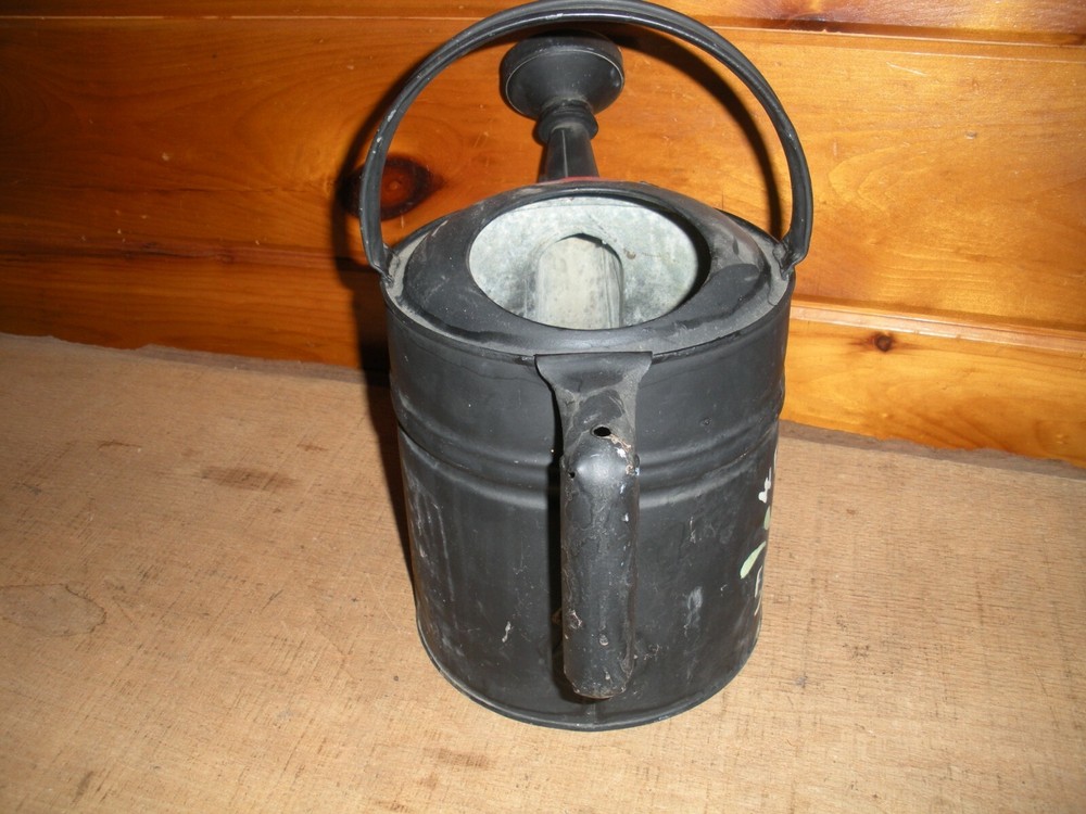 Vintage Galvanized Hand Painted Watering Can / 6 Quart