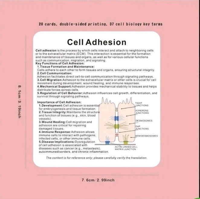 Cell Biology Pocket Sized Flashcards Study Guide Cellular Components Key Terms