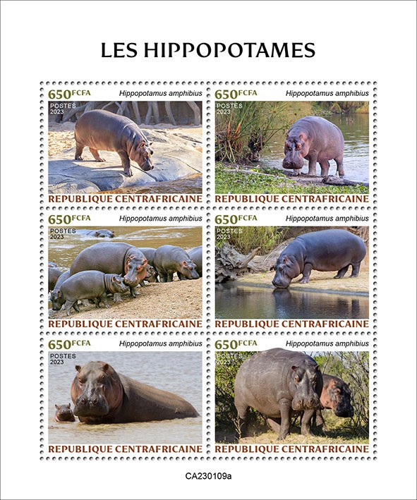 Hippopotamus