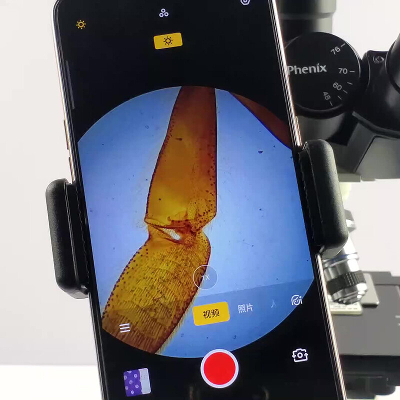 Microscope Binocular professional biological students experimental detection