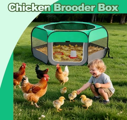 Pop Up Chicken Brooder Starter Kit - Easy to Assemble, Portable & Easy to