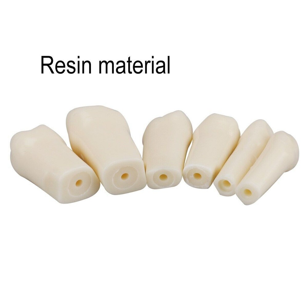 Dental Resin Typodont Teeth Model Screw Fixed Tooth Replacements 28pcs/Kit