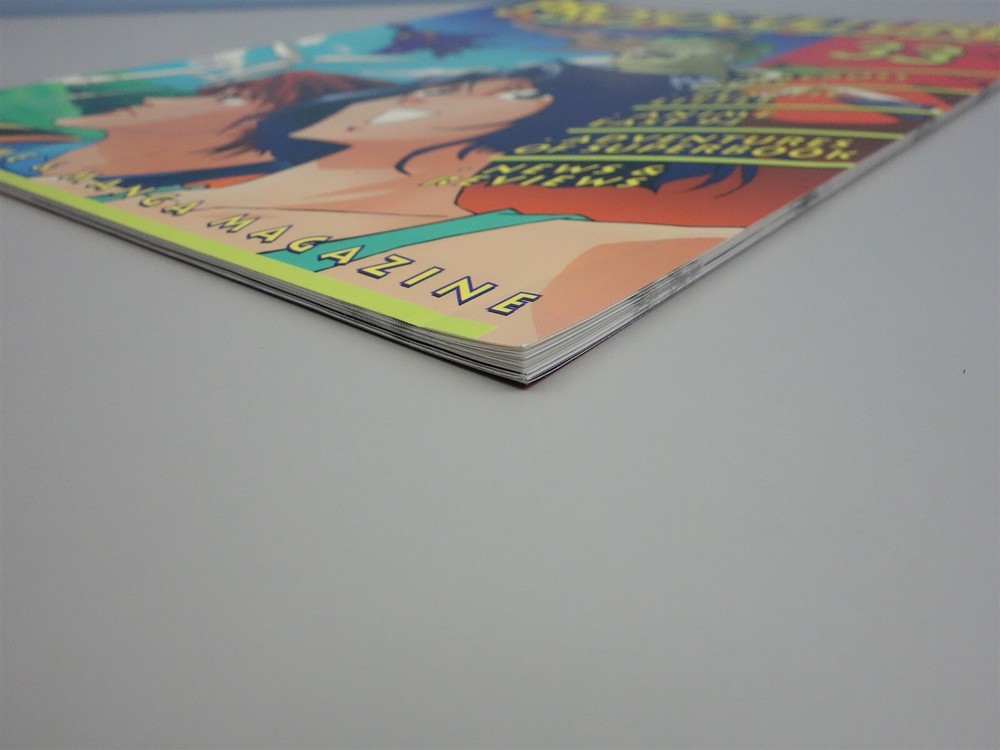 Protoculture Addicts (Ianus Publications): Issue # 33