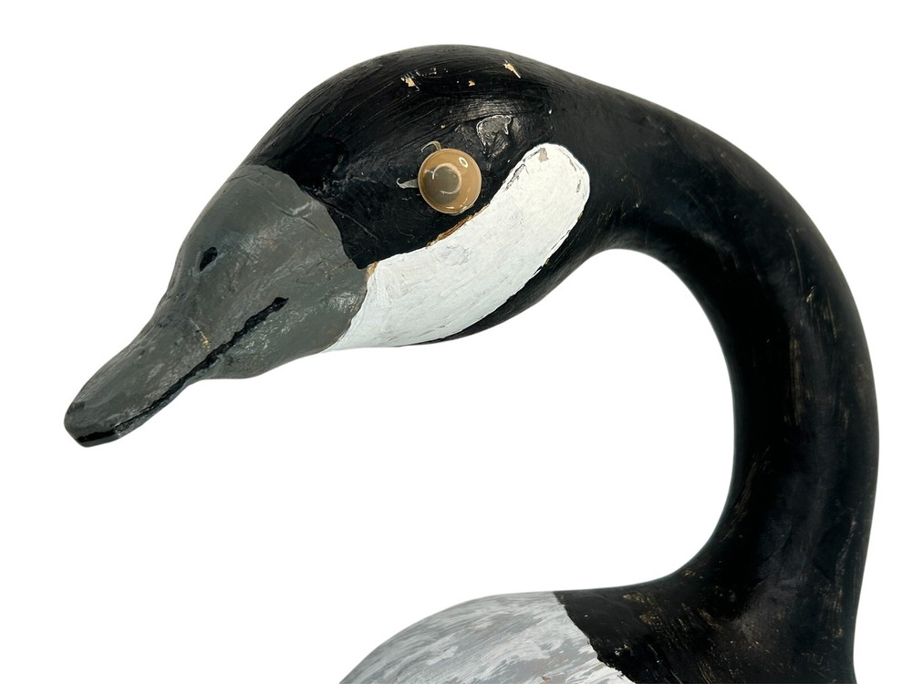 Painted Gourd Duck Art