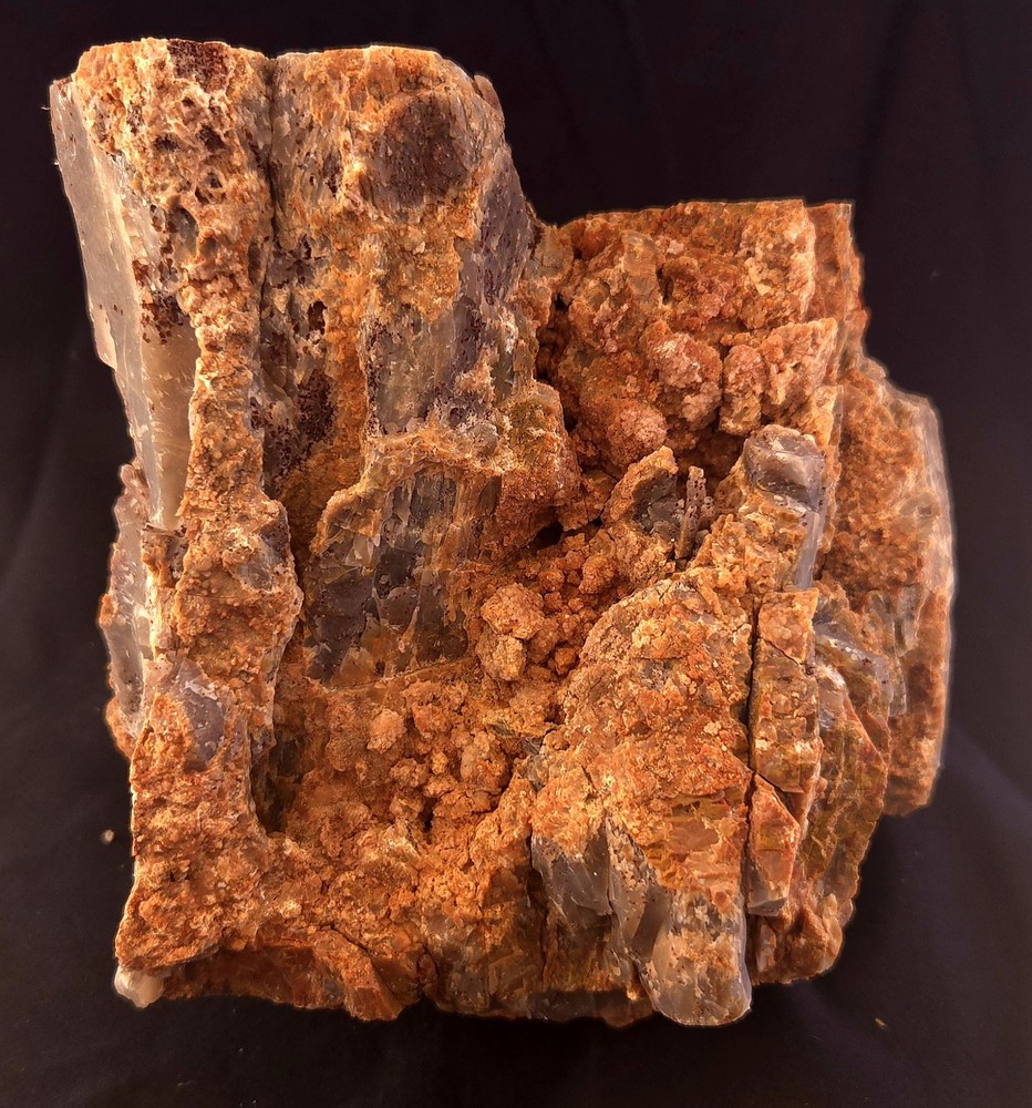 Az Rainbow Petrified Wood