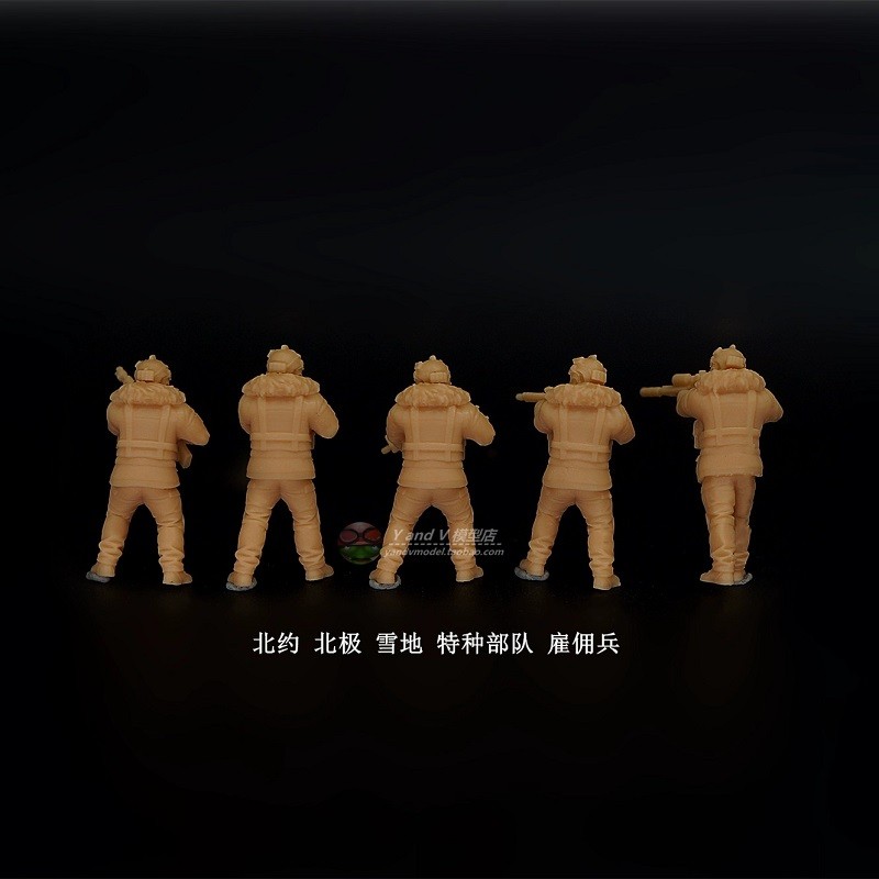 3D printed 1/72 Modern NATO "Arctic Extreme Cold Combat Training" model 5/pcs