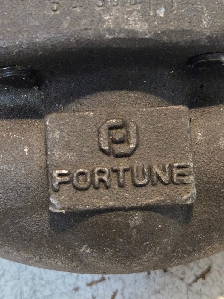 Fortune Class 800 1/2" Check Valve | A105N