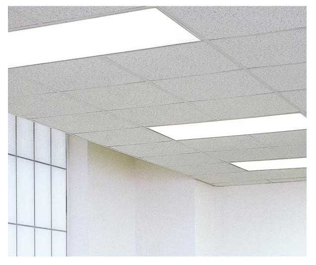 2X2 Ft. Radar Basic White Square Edge Lay-In Ceiling Tile Case of 4 (16 Sq. Ft.)
